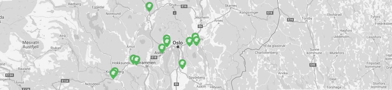 Minilager i Viken